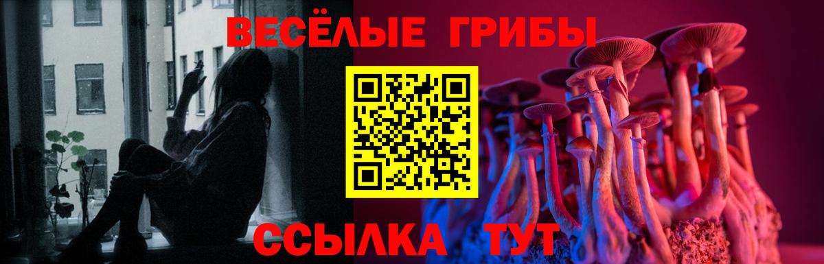 Псилоцибиновые грибы мицелий  Вход с VPN  Псилоцибиновые грибы прущие грибы  Вышний Волочёк 